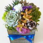 Succulent Arrangement in 5x5 wood box