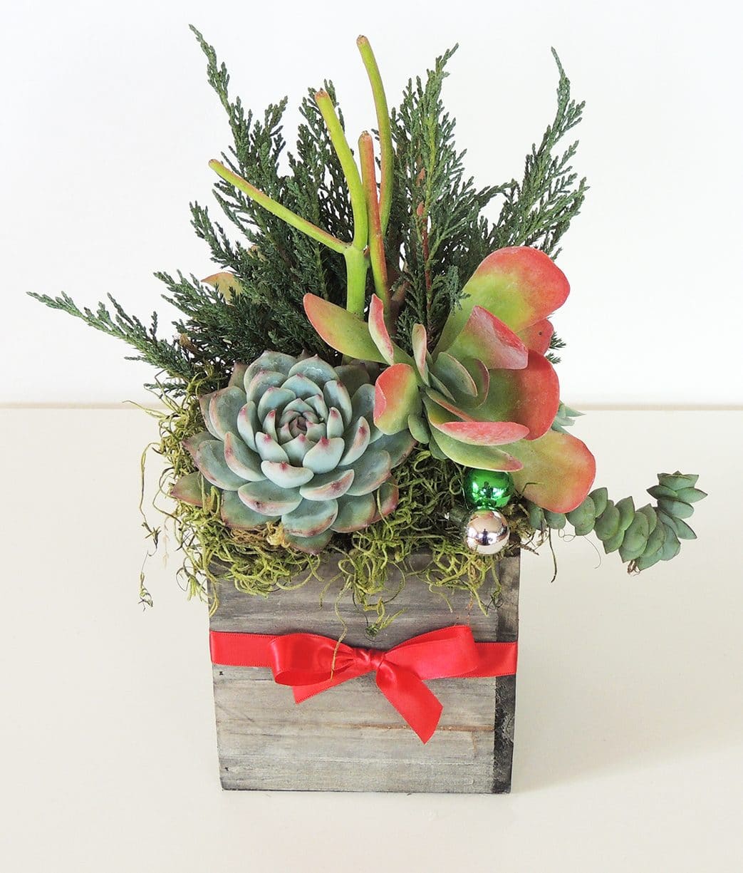 Succulent Arrangement For Table Tops And Outdoor Tables
