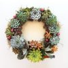 Succulent Christmas wreath.