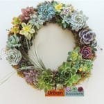Succulent wreath. Green Gift.