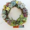 Succulent wreath. Green Gift.