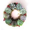 Succulent Xmas Succulent wreath