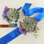 Echeveria strung through wide ribbon and decorated with flowers.