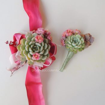 Matching Succulent Boutonniere and Corsage