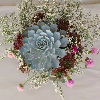 Succulent Bouquet Annette