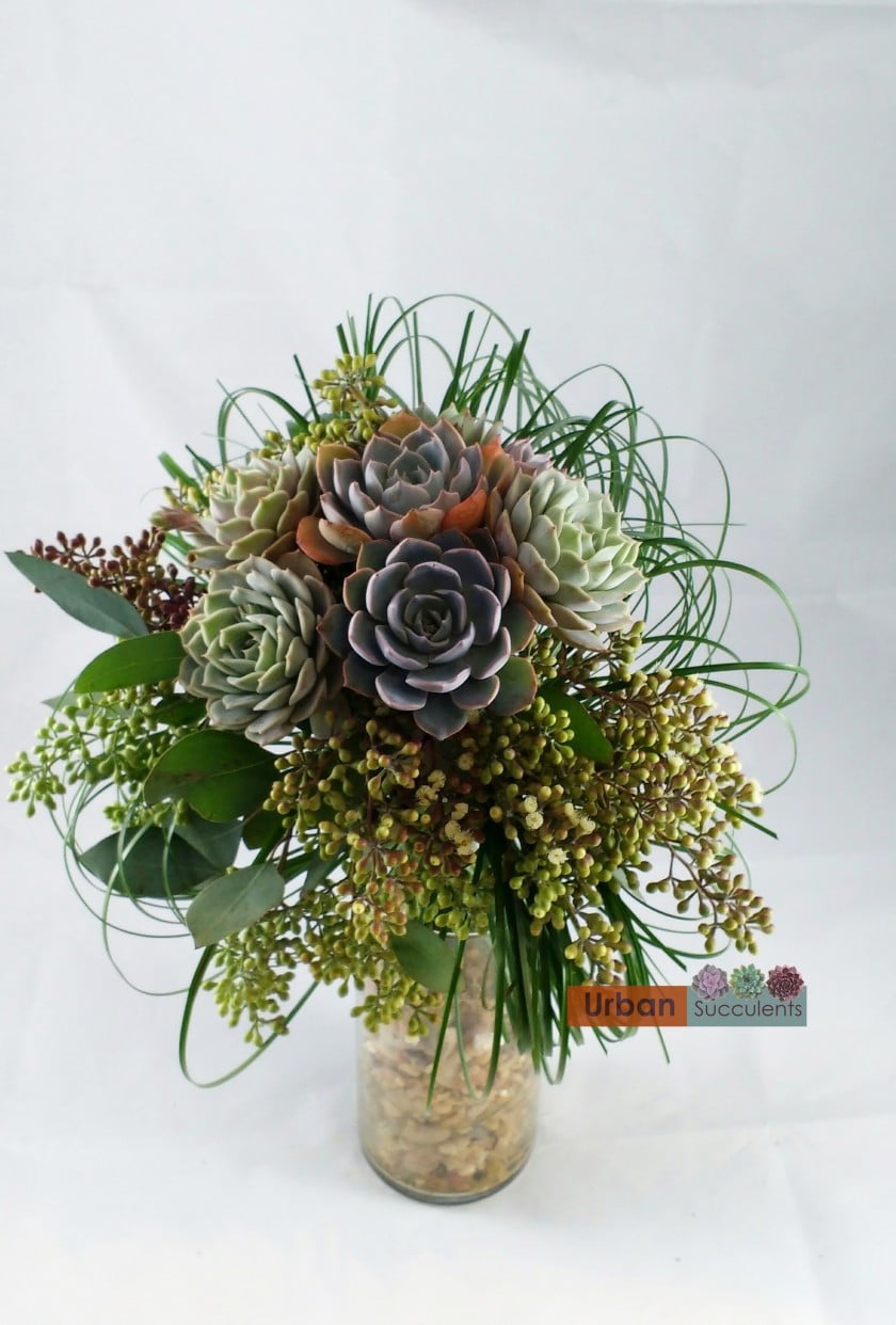 Succulent Bouquet  Gallery - Urban Succulents
