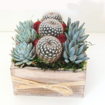 Product upgrade- from heart wreath to echeveria and cacti arrangement