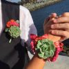 succulent boutonniere and corsage set