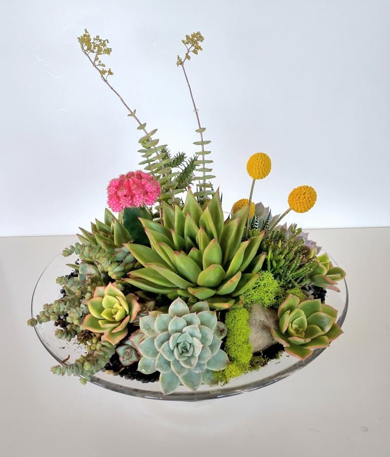 Succulent Boutonniere — Cactus & Tropicals