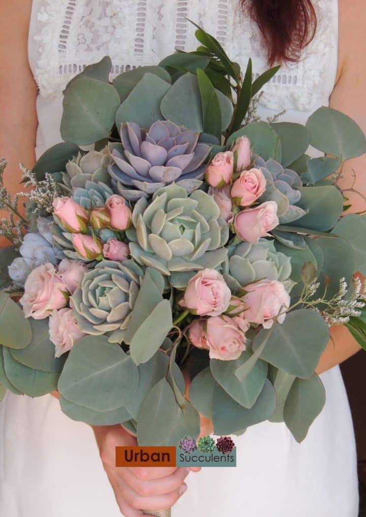 Succulent bouquet with pink spray roses, and silver dollar eucalyptus.