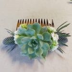 Succulent hair comb with blue thistle