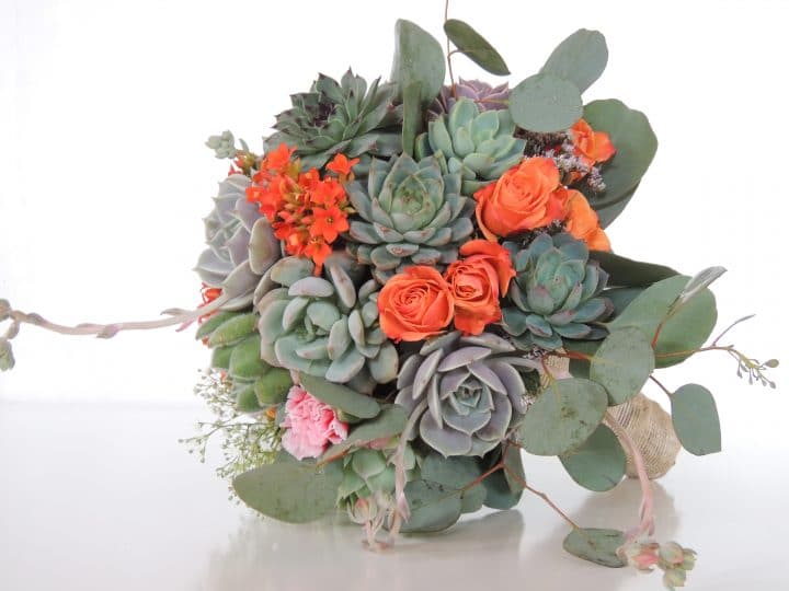 Succulent bouquet with orange spray roses, babies breath and silver dollar eucalyptus.