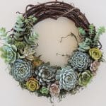 succulent wreath