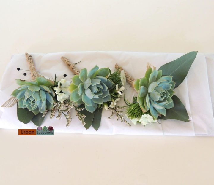 Succulent boutonnieres with eucalyptus leaves