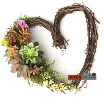 Grape Vine Succulent Heart Wreath