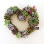 Heart shape succulent wreath