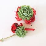 succulent corsage red