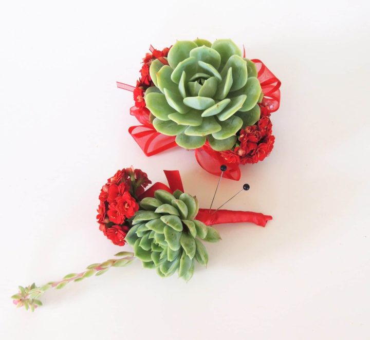 succulent corsage red