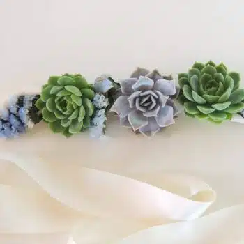 Succulent Sash