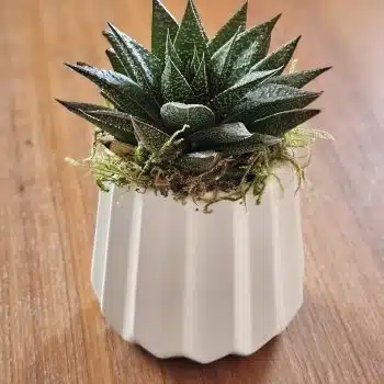 Thank You gift