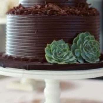 2 succulent cuttings for cake