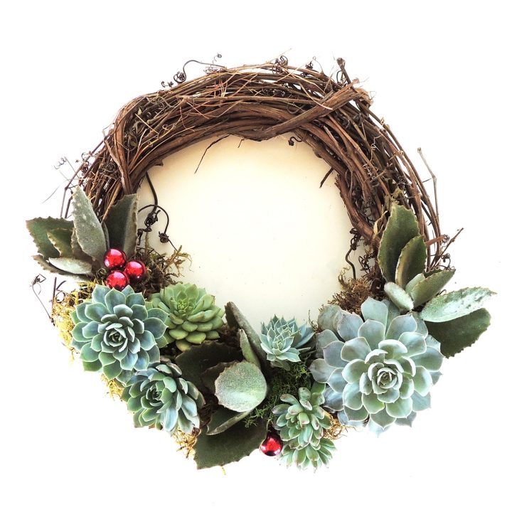 Christmas wreath made with grape vine form and succulents.