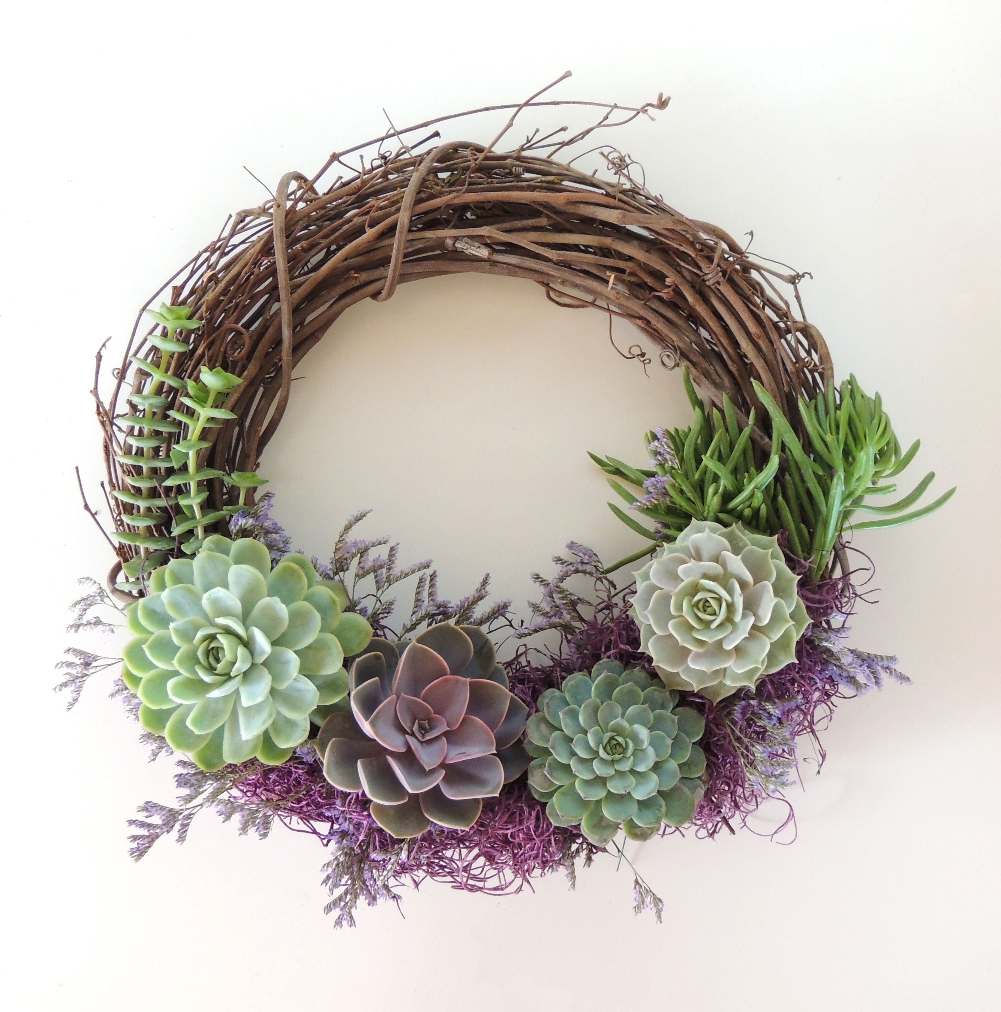 succulent wreath with purple Spanish moss.