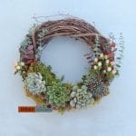 succulents and berries wreath