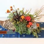 succulent cornucopia
