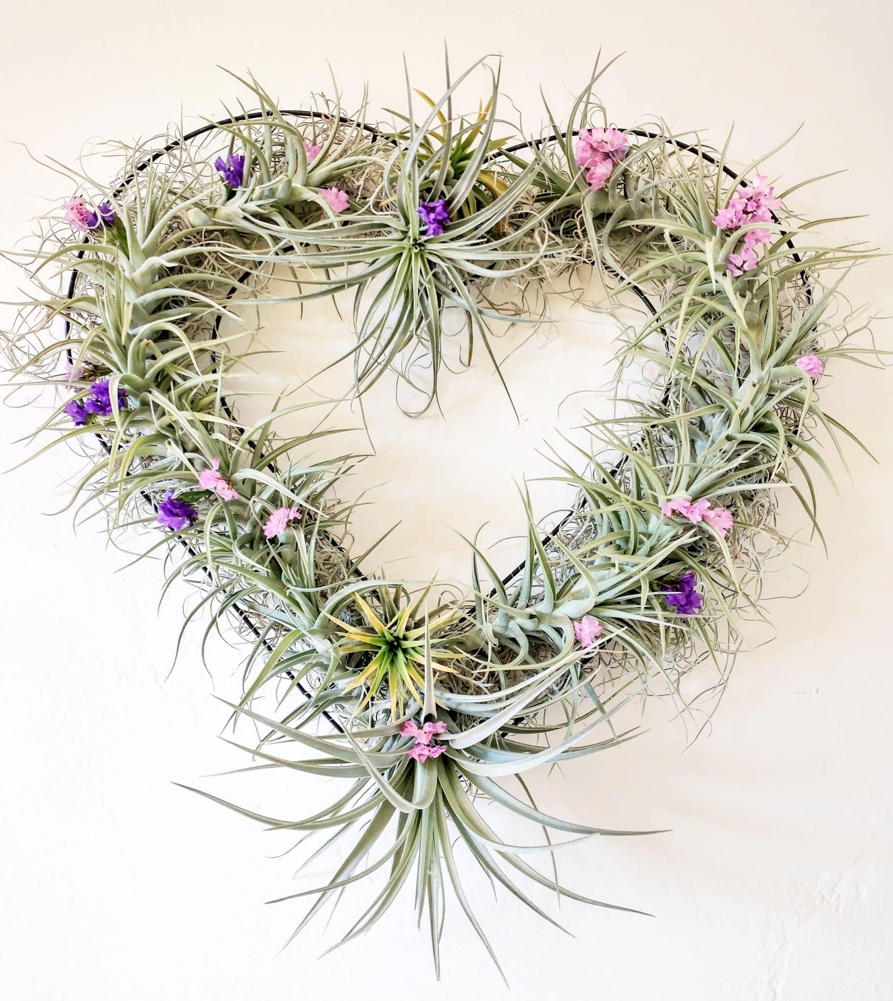 heart with tillandsias