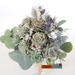 succulents and berzillia berries