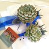 prom succulent corsage with thistle and blue satin ribbon