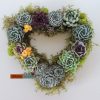 heart shape succulent wreath