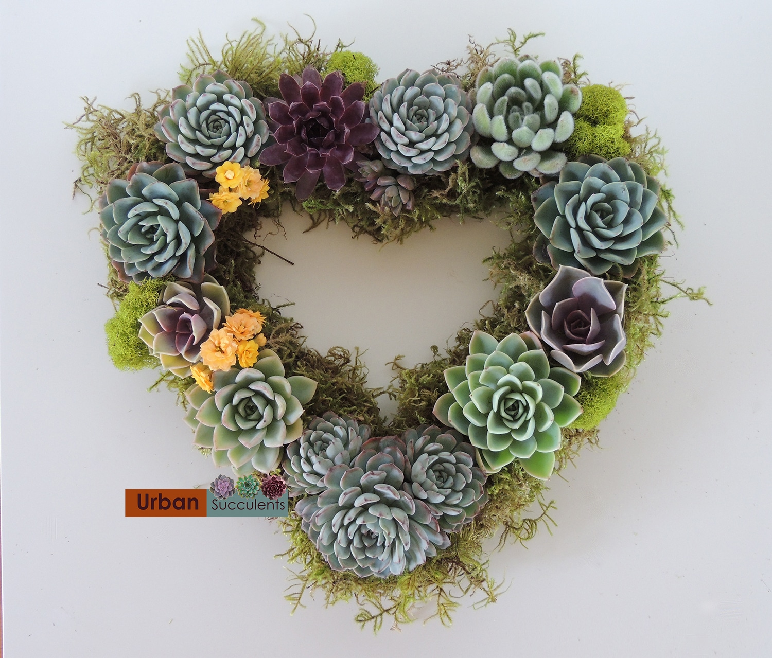 heart shape succulent wreath