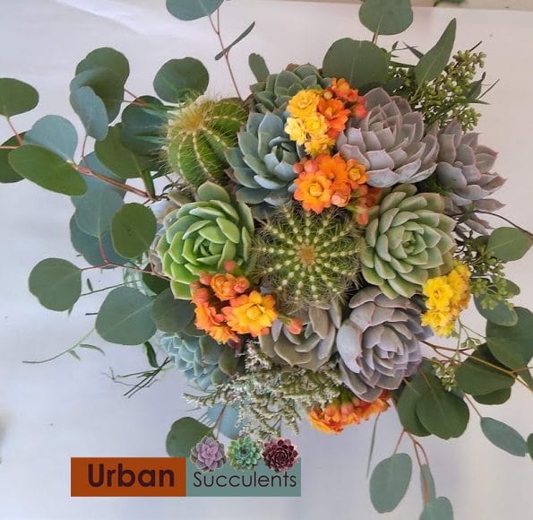 succulent bouquet with cactus