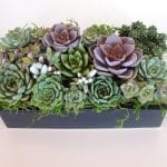 perle von nurnberg arrangement in ceramic container