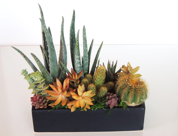 Succulent dish garden with orange.