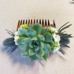 Hair comb with succulent and blue thistle.