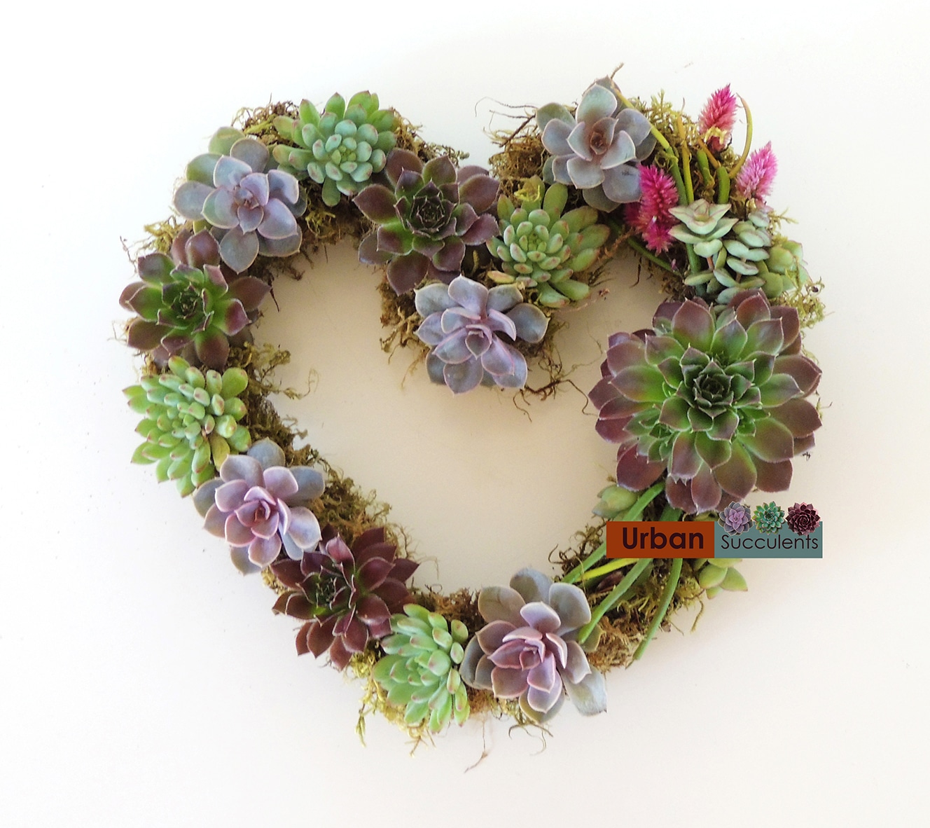 Heart shape succulent wreath