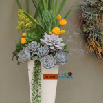 tall succulent centerpiece
