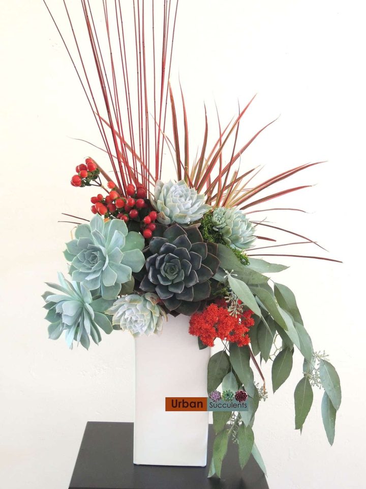 tall succulent arrangement