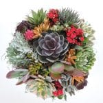 san diego house warming gift