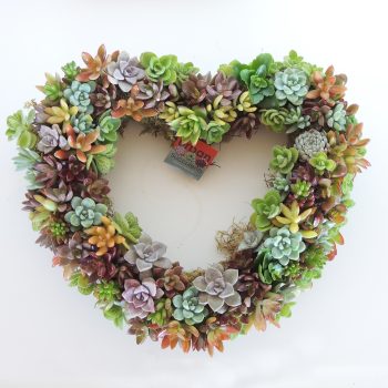 Heart Shaped multicolor Succulent Wreath