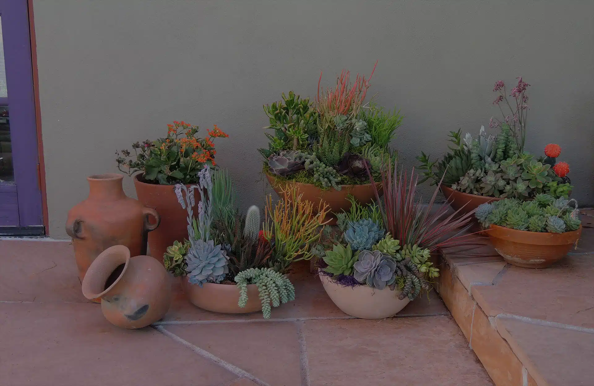 wholesale succulent pots Bulk 20 Styles 5