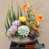 succulent arrangement