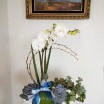 Orchid and succulents