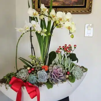 Succulent Boat with Orchid