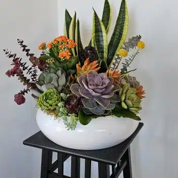 Tribute Plant Arrangement